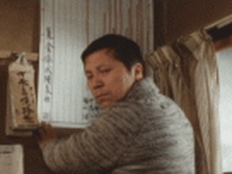 Foto 12 de The Nineteen Year-Old's Map