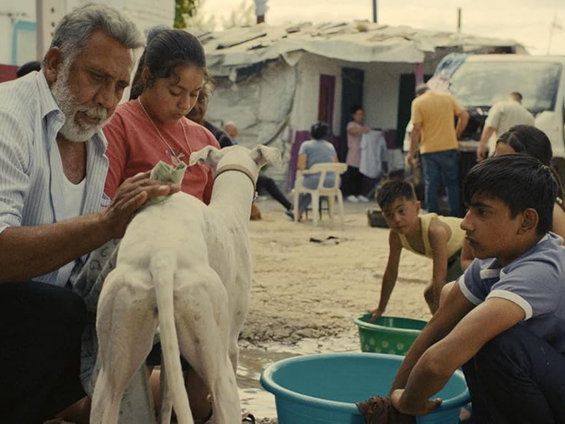 Foto 2 de Cidade Sem Sonho