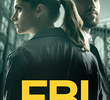 FBI (2ª Temporada)