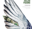 Million Dollar Pigeons