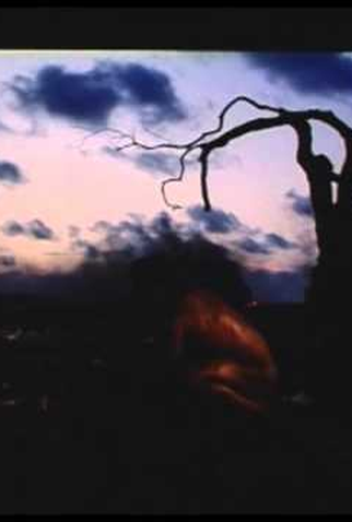 Poster 1 de Curta Gravidade (2006)