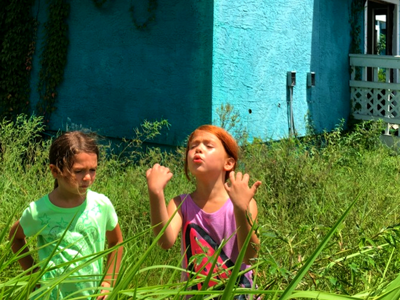 Foto 1 de Projeto Flórida