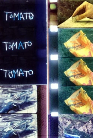 Poster 1 de Curta Tomato (2017)