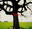 Nito
