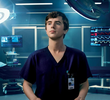 The Good Doctor: O Bom Doutor (3ª Temporada)