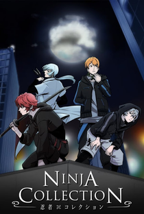Ninja Collection - Poster / Capa / Cartaz - Oficial 1