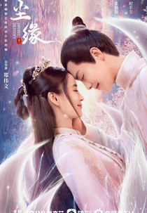 Divine Destiny (尘缘)