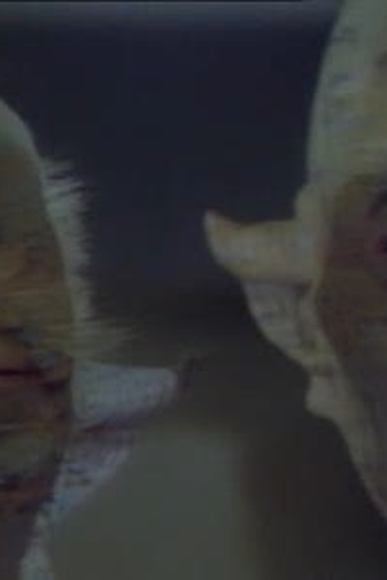 Poster de Episódio The Power (1995)