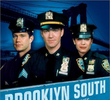 Brooklyn South (1ª Temporada)