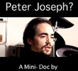 Who is Peter Joseph?