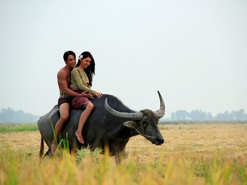 Foto 5 de PlaeKao (2014)