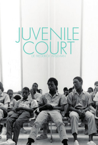 Poster 1 de Filme Juvenile Court (1973)