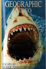 National Geographic: Caçada ao Grande Tubarão Branco (Hunt for the Great White Shark)