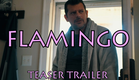"FLAMINGO" (Teaser Trailer)