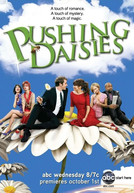 Pushing Daisies (2ª Temporada)