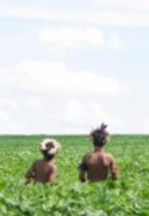 Ava Marangatu (Ava Marangatu)