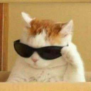 Foto de perfil de gab