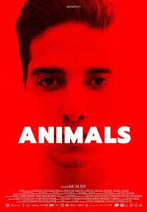 Animals (Animals)