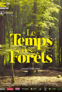 O Tempo das Florestas - Poster / Capa / Cartaz - Oficial 1