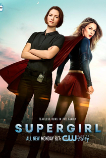 Supergirl (2ª Temporada) - Poster / Capa / Cartaz - Oficial 6