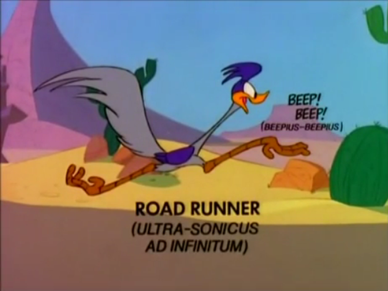 Foto 5 de Soup or Sonic