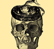 King Snake