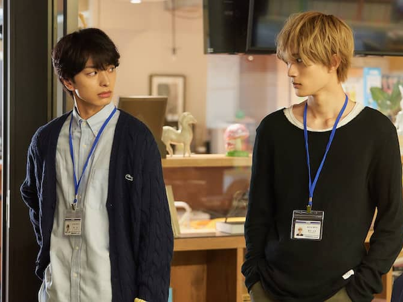 Foto 8 de Ameiro Paradox