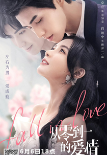 Fall in Love (从零到一的爱情)