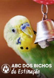 Pets 101 - ABC dos Animais de Estimação (Pets 101)