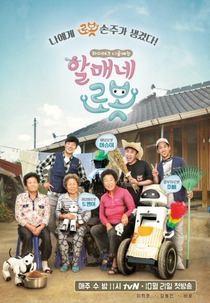 Grandma's Robot (할매네 로봇)