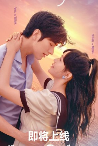 Poster 1 de Série Perfect Mismatch (2023)