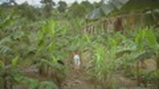 Trailer: Wah Do Dem - Official UK Trailer - In selected Picturehouse Cinemas 27 August 2010