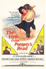 O Que o Amor nos Negou (The View from Pompey's Head)