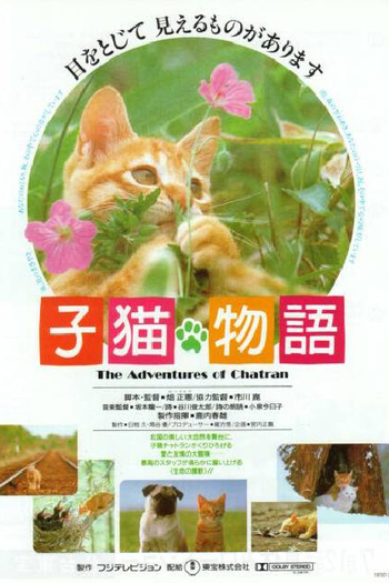  de Filme As Aventuras de Chatran (1986)