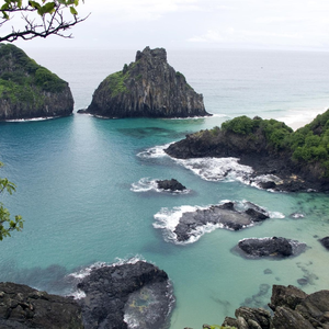 Foto de perfil de Rodrigo