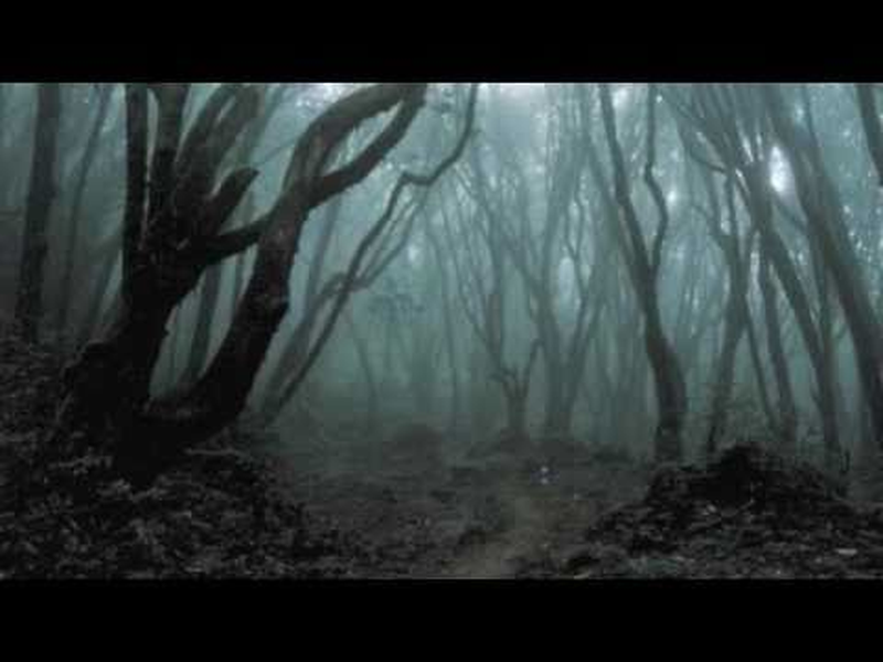 Foto 1 de Slender Suits