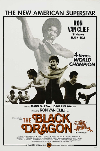 Poster de Filme The Black Dragon (1974)