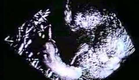 Filme Caseiro Número Um (Petter Baiestorf, 2001)