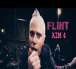 Flint: Aim 4
