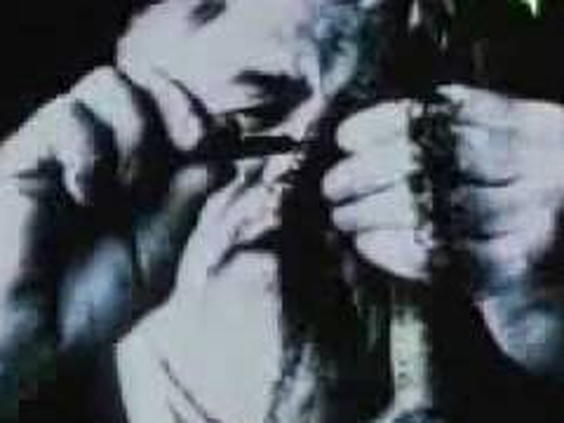 Foto 1 de Garden Path