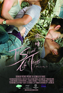 Second Life of Thieves - Poster / Capa / Cartaz - Oficial 1