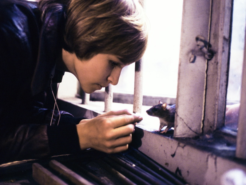 Foto 5 de Moritz, lieber Moritz