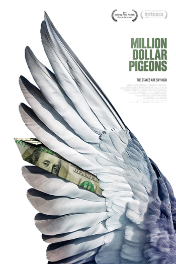 Poster de Filme Million Dollar Pigeons (2022)