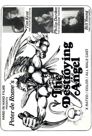 Poster 2 de Filme The Destroying Angel (1976)