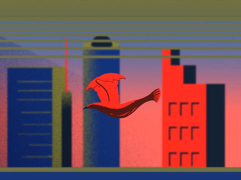 Foto 2 de Ah! Sunflower