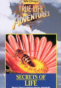 Segredos da Vida (Secrets of Life)