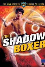 O Boxeador das Sombras (Tai ji quan)