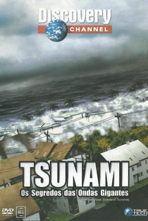 Tsunami : Os Segredos das Ondas Gigantes - Poster / Capa / Cartaz - Oficial 1