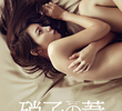 硝子の葦
