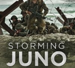 A Tomada da Praia Juno